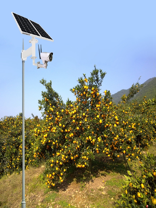 Wireless solar monitoring system for orchard