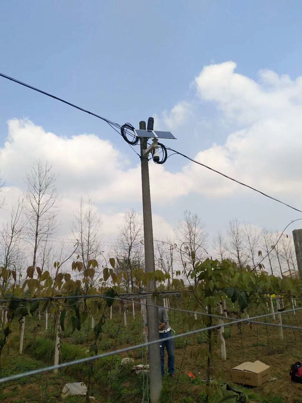 Okeyset solar wireless monitoring integrated machine for Xinjiang orchard