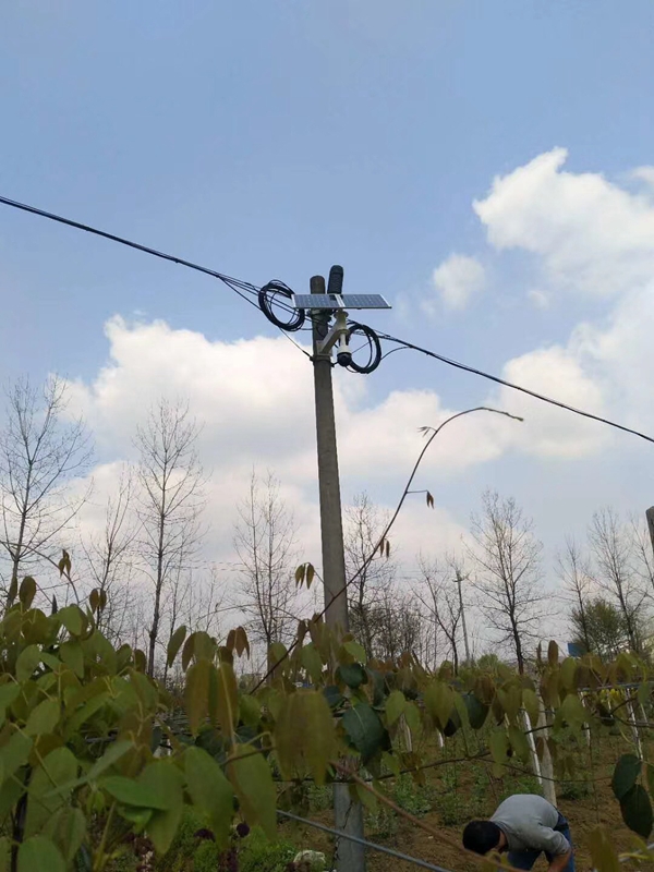 Okeyset solar wireless monitoring integrated machine for Shihezi smart farm in Urumqi