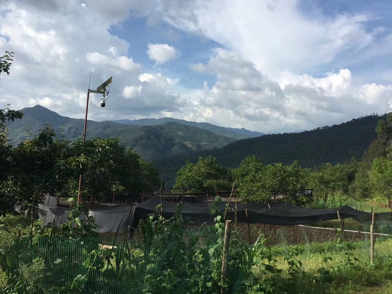 贵州农场用OKEYSET太阳能4G监控一体机