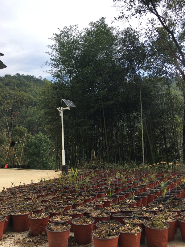 Okeyset solar energy monitoring camera for ecological smart homestay in Ankang, Shaanxi Province