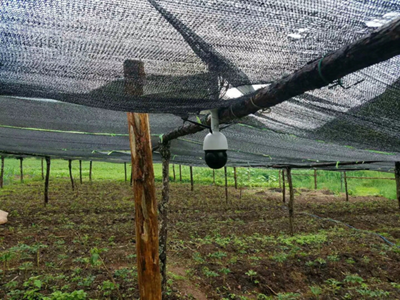 Okeyset solar energy monitoring camera for Jilin Dapeng vegetable monitoring system