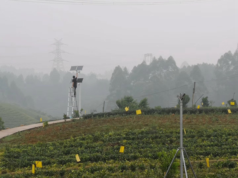 Okeyset solar energy monitoring camera for Sichuan Mianyang traditional Chinese medicine base