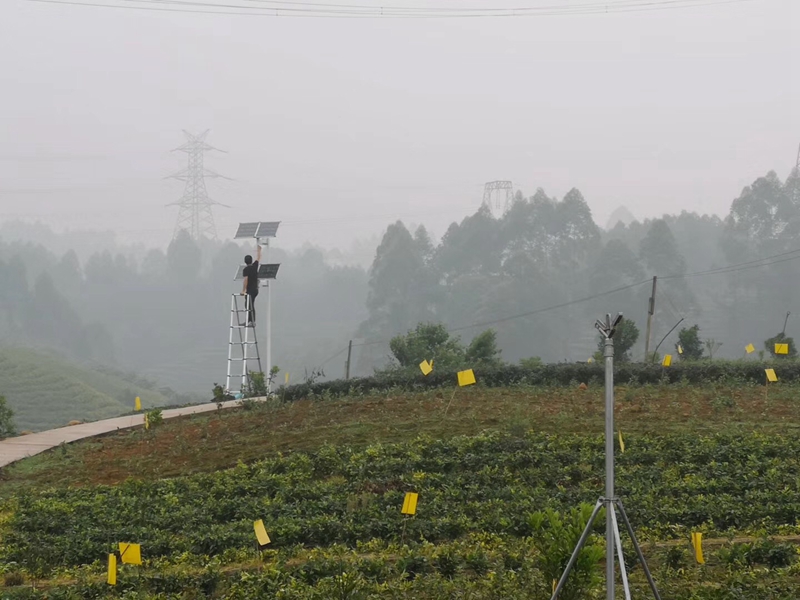 四川绵阳中药材基地用okeyset太阳能监控摄像头