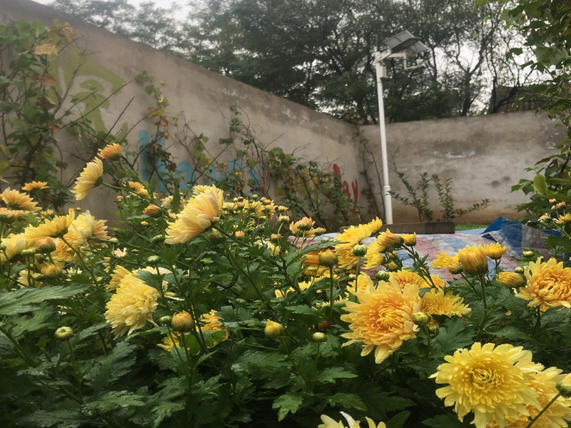 Okeyset solar energy monitoring camera for ecological homestay in Fuping, Weinan, Shaanxi
