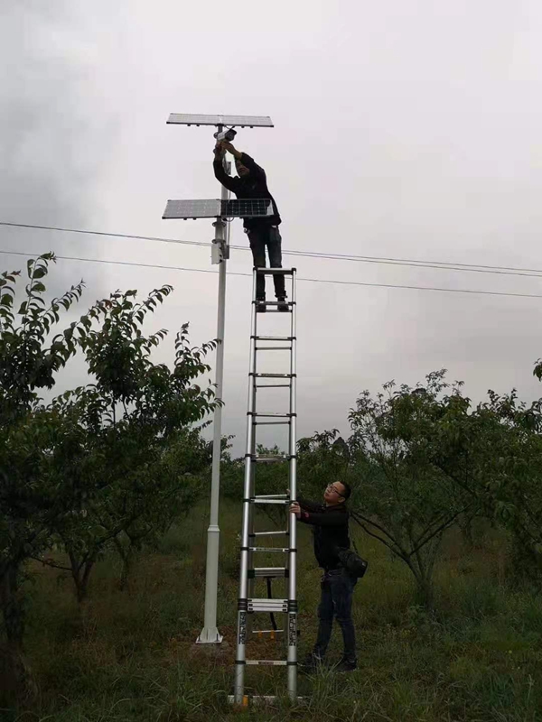 Solar wireless bridge monitoring system of Jichuang technology for plateau tea base of Sichuan Leshan Agricultural Bureau