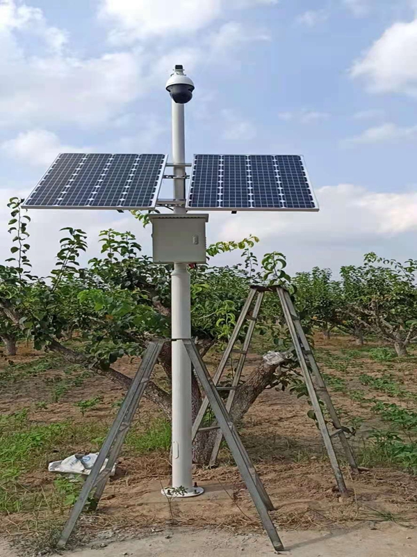 Jichuang technology solar energy monitoring system for orchard of Chongqing Agricultural Bureau