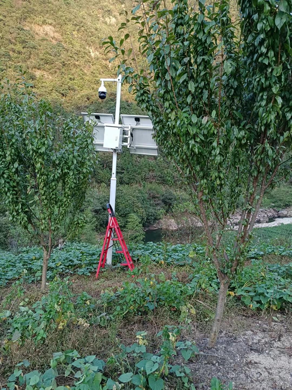 Shaanxi Hanzhong forestry bureau uses Jichuang technology solar wireless monitoring system