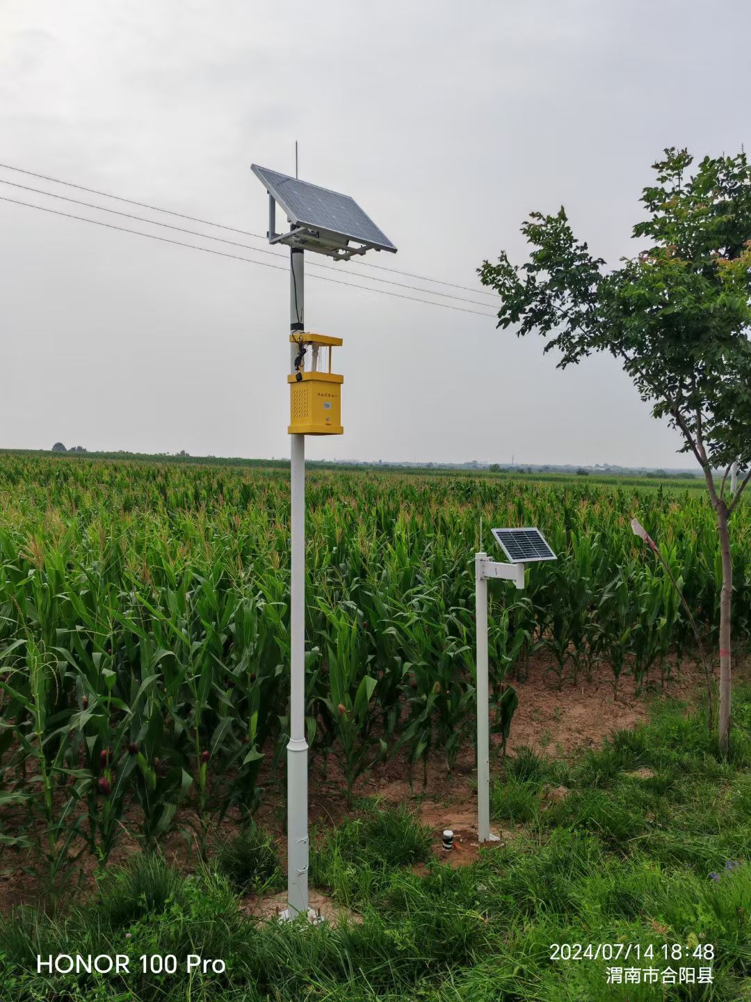 渭南合阳智慧农业