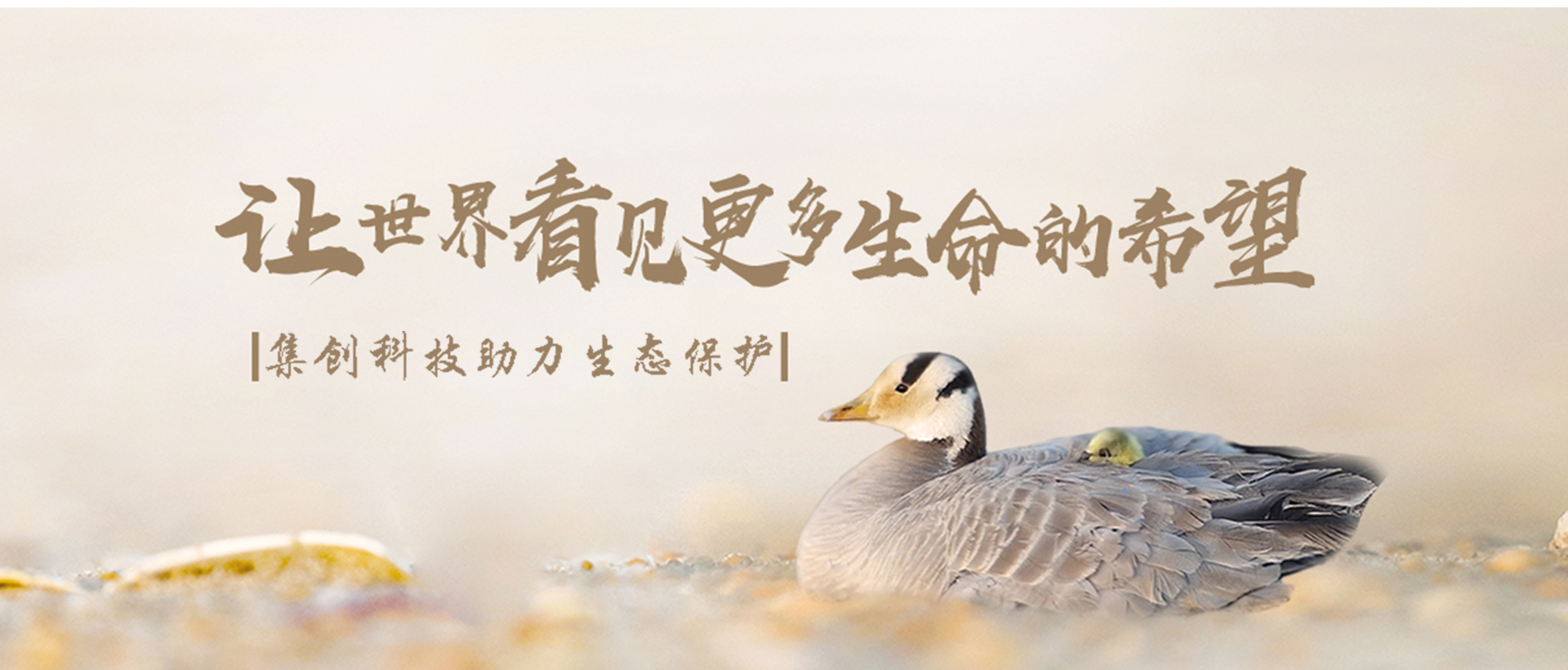 集科技大发展，创洁净新能源